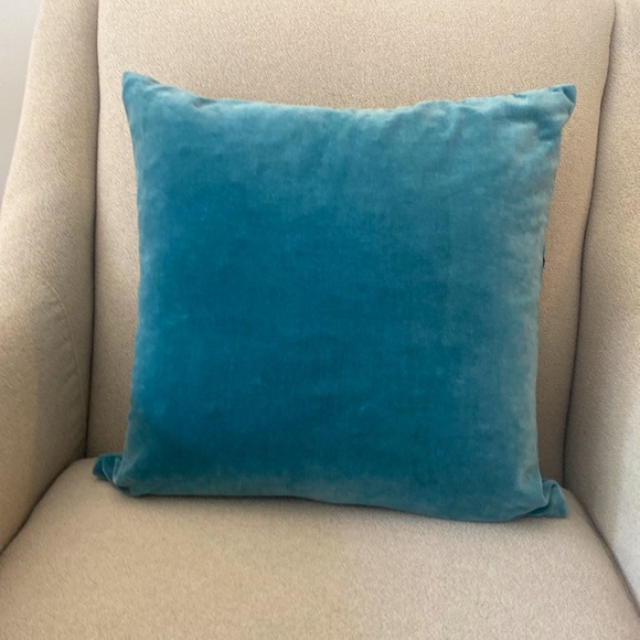 Set of 2 Urban Barn Decorative Pillow covers and pillow inserts - Picture 3 of 9